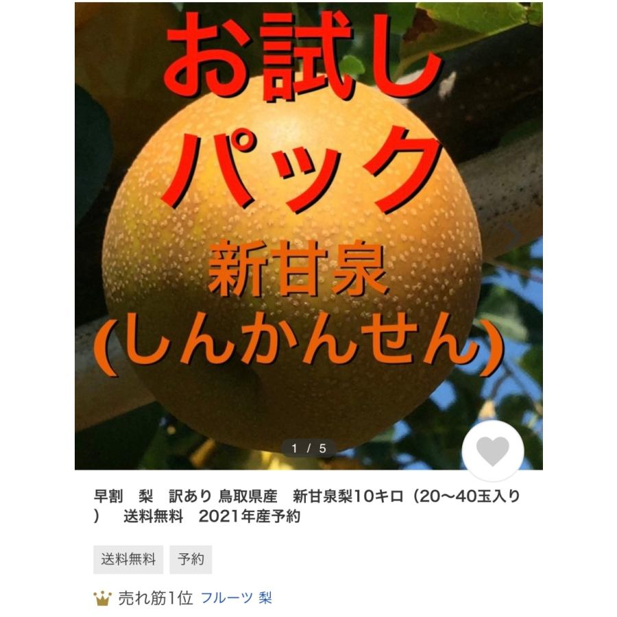 早割　梨　訳あり 鳥取県産　新甘泉梨10kg（20〜40玉入り）　送料無料　2024年産予約