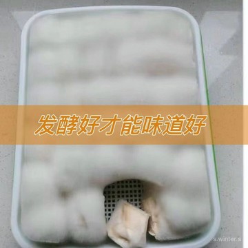 99免運👍臺灣出貨🌈髮酵專用盤長毛黴豆腐乳曲毛黴全套透明髮酵盒黴豆腐製作方法商用 OG90