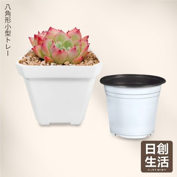台灣現貨 植栽 小方盆 育苗盆 四方盆 盆器 透氣盆 方盆 栽培盆 花盆 多肉盆栽 多肉盒 仙人掌花盆 透氣盆 日創生活