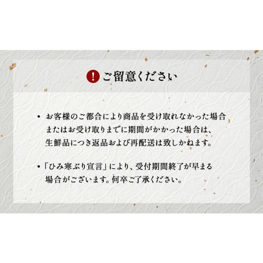 ふるさと納税 富山県 氷見市 ひみ寒ぶり 朝どれ1本 三枚おろし（神経抜〆：8〜10kg）※配送地域限定 ｜富山湾 氷見 氷見漁港 寒ブリ １本…