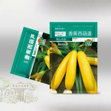 【可開收據】原廠大包裝 香蕉西葫蘆種子（約10粒）黃色長條形葫蘆瓜種子、櫛瓜種子 盆栽農家蔬菜種子/原裝包對版