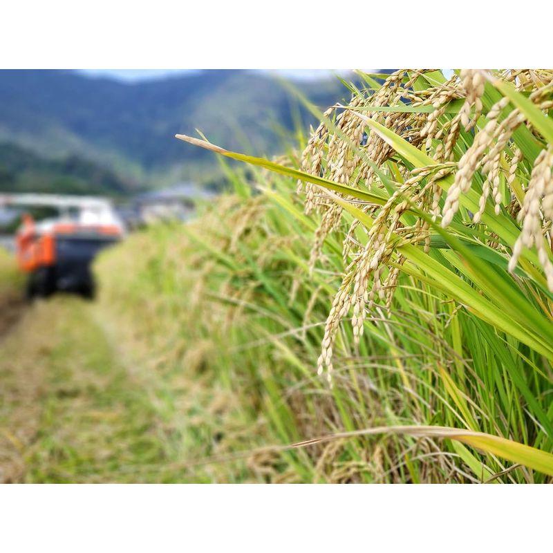 ミツハシ 精米 山形県産雪若丸 5kg 令和4年産