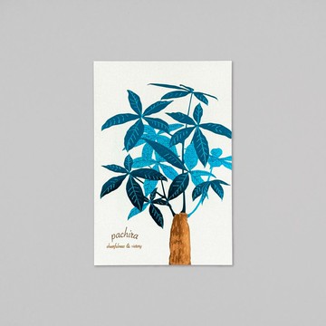 Hakuoshi Botanical 發財樹 明信片