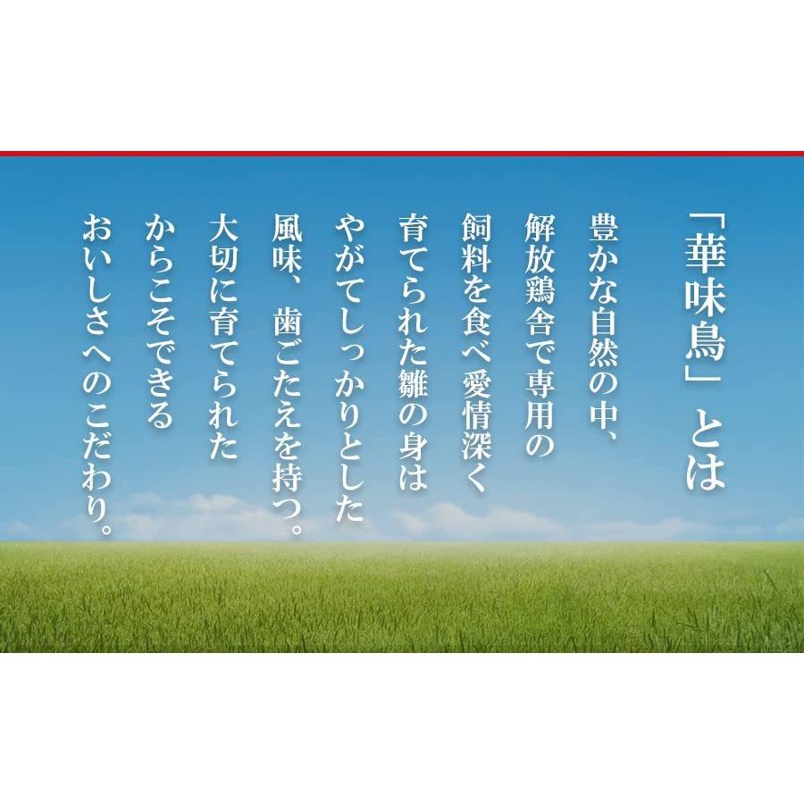 博多華味鳥監修 鶏肉入りレトルトカレー2種計6食セット