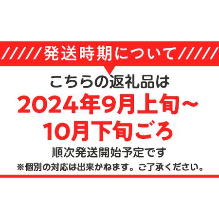 ふるさと納税 12-11茨城県産アールスメロン約2.5kg（2個） 茨城県下妻市