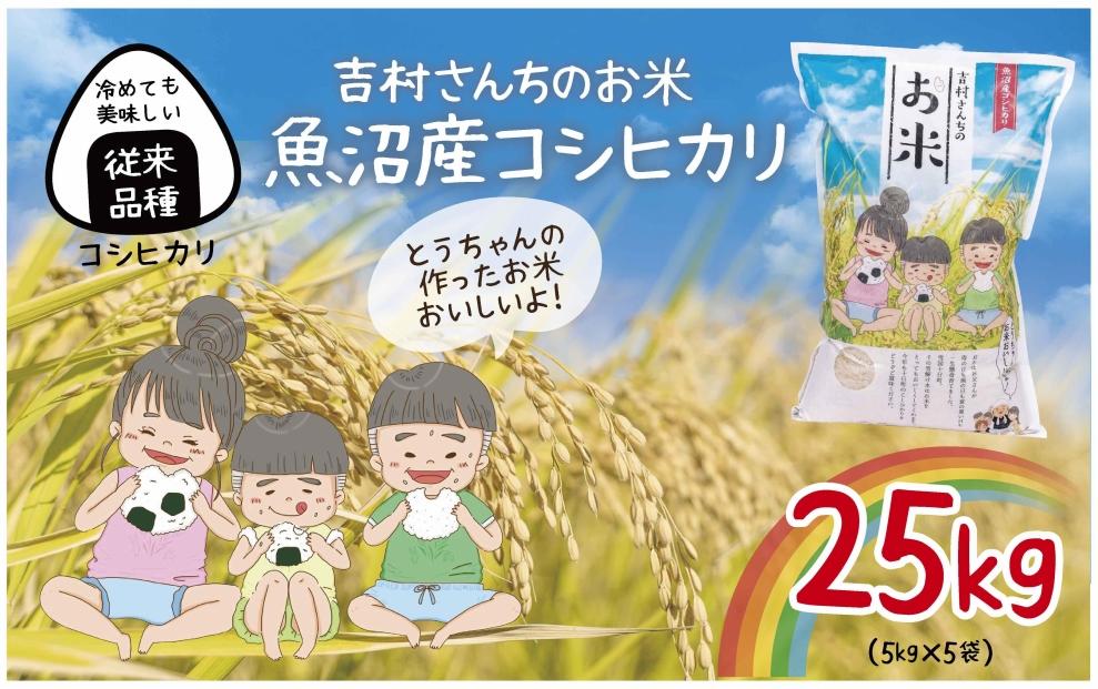 ｜従来品種｜ 魚沼産 コシヒカリ 5kg ×5袋 計25kg 米 こしひかり お米 コメ 新潟 魚沼 魚沼産 白米 送料無料 新潟県産 精米 産直 農家直送  お取り寄せ 吉村さんちのお米 新潟県 十日町市 DE298