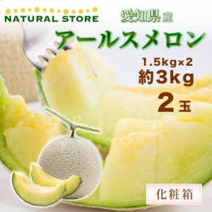 メロン アールスメロン 約3kg 2玉 大玉 メロン専用箱 愛知 マスクメロン 愛知県 ギフト  夏ギフト 御中元 お中元