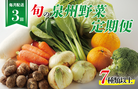 泉州野菜 定期便 全3回 7種類以上 詰め合わせ 国産 新鮮 冷蔵
