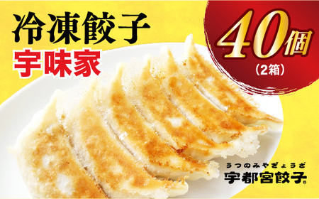 餃子20個入り×2箱