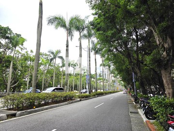 光復南路靜巷 雅致公寓 二樓免爬高 採光大三房｜台北市信義區光復南路