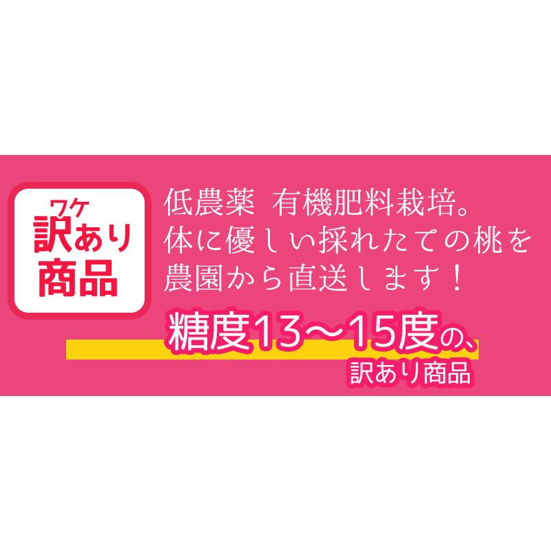 2024年7月分予約 糖度13〜15度 桃 減農薬 訳あり 約2.8kg 9〜12玉入 品種お任せ 川中島白桃 長野産 産地直送 小山 なつっこ