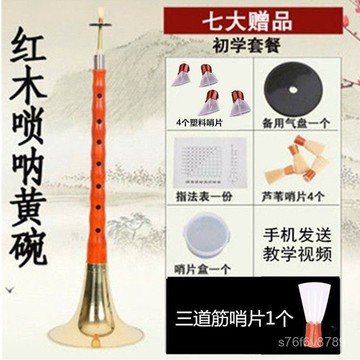 獨家正品🔥嗩吶 嗩吶為王 嗩吶樂器 烏木 專業者 初學者 初學者成人花梨烏木嗩吶DC降B調全套民族嗩吶樂器配三道筋哨片