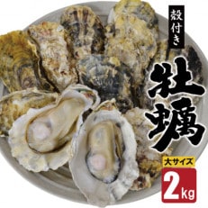 雲仙産瑞穂牡蠣大サイズ2kg(加熱用、殻付き)