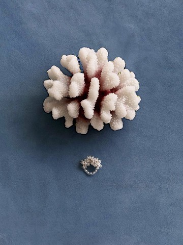 (Worn by NMIXX Haewon) Coral Ring