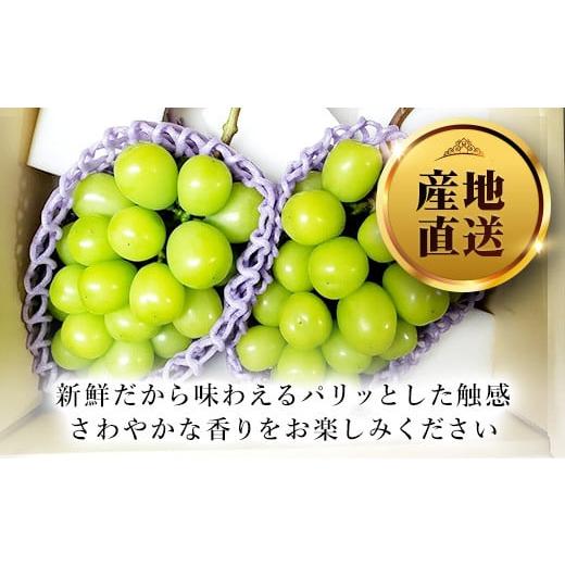 ふるさと納税 山梨県 笛吹市 ＜2024年先行予約＞人気 シャインマスカット 約2.5kg 3〜6房 ※沖縄県及び離島への配送はできませんので予めご了承ください。※常…