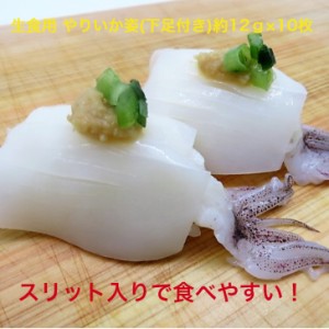 無添加 生食用 ゲソ付き やりいか姿12g×10枚 寿司ネタ 冷凍便 　生食用　のせるだけ　刺身用　海鮮丼　無添加 やりいか ヤリイカ いかげ