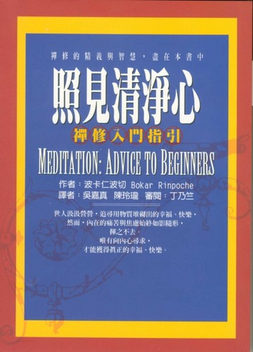 照見清淨心－禪修入門指引[二手書_普通]