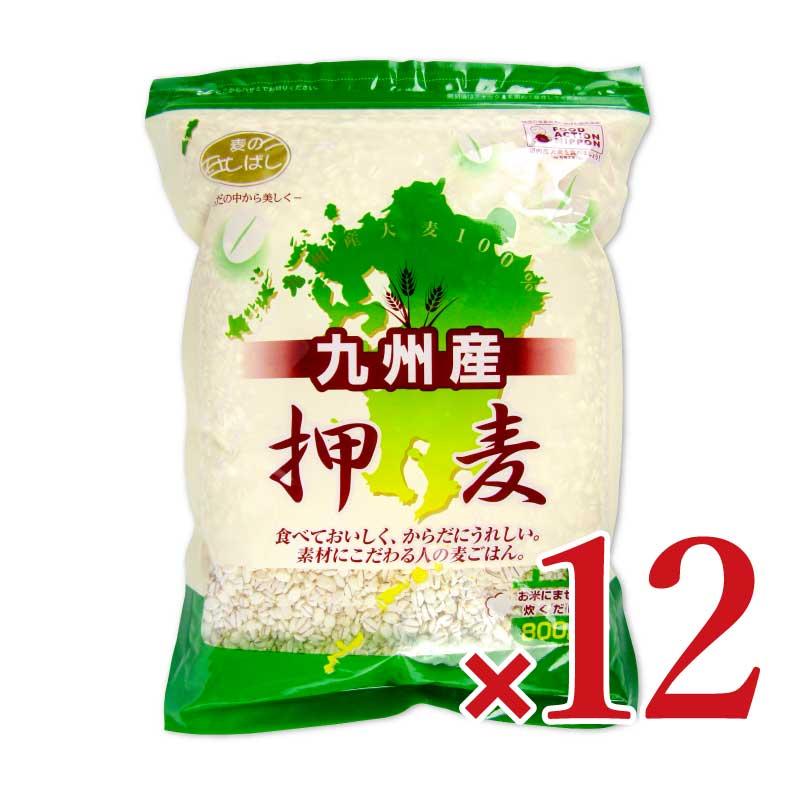 石橋工業 九州産押麦 800g×12袋 ケース販売