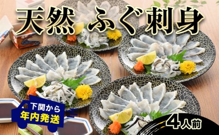 たっぷり4人前! 天然ふぐ刺身 （ 大容量ふぐ刺身 ふぐ フグ まふぐ マフグ 真ふぐ 下関ふぐ 下関フグ ふぐ刺し フグ刺し ふぐ刺身 てっさ 国産天然まふぐ 国産天然マフグ 天然ふぐ 天然フグ 関門ふぐ 関門フグ  最高級まふぐ 最高級マフグ 国産ふぐ 河豚 本場下関 山口 ギフト 贈答 中元 歳暮 父の日 ） 下関 FG018