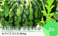 先行予約  小玉すいか 4L×2玉  2024年産 令和6年産 すいか スイカ  ja-sukoa4