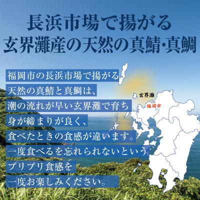 ふるさと納税 福岡市 長浜市場水揚げ天然　ごま鯖ごま鯛(各4パック)