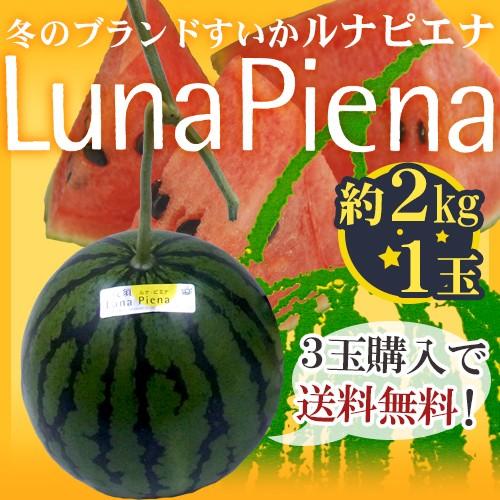 高知県夜須町 温室スイカ ”ルナピエナ” 1玉 約2kg《3玉購入で送料無料》