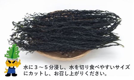 鳴門市里浦産乾燥糸わかめ　120ｇ