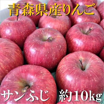 ふるさと納税 黒石市 サンふじ　約10kg