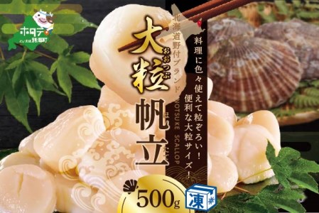 北海道 野付産 漁協直送 冷凍ホタテ 貝柱 大粒ホタテ500ｇ（ ほたて ホタテ 帆立 貝柱 玉冷 北海道 野付 別海町 人気 ふるさと納税 ）