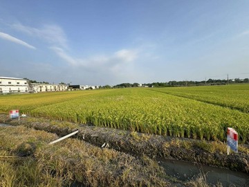 降價彰化縣大村鄉近大西國小方正優質特農農地｜彰化縣大村鄉新興段