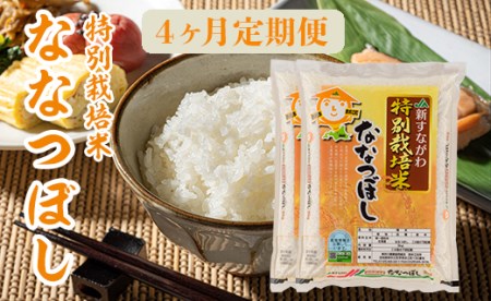 『特別栽培米ななつぼし5kg×2』定期便！毎月1回・計4回お届け