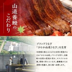 名店の味 国産鰻 宮崎県産うなぎ蒲焼 2尾 (ウナギ260g以上)