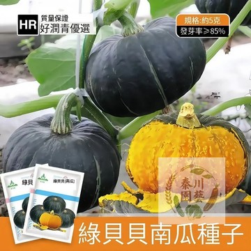 🌱【正宗栗子南瓜】原裝綠貝貝種子｜板栗口感 香甜綿密｜小家庭首選 陽台可種｜有機寶寶辅食｜抗病好種 台灣親測#蔬菜種籽