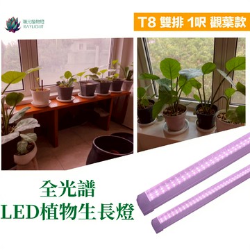 [瑞光植物燈]全光譜植物燈PRO T8 30cm多肉 塊根 龍舌蘭 觀葉 鹿角蕨 上色防徒