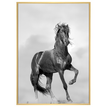 BOLUO GALLERY 菠蘿選畫所 駿馬追風 ANSS3409D 掛畫  40 x 30cm  木色