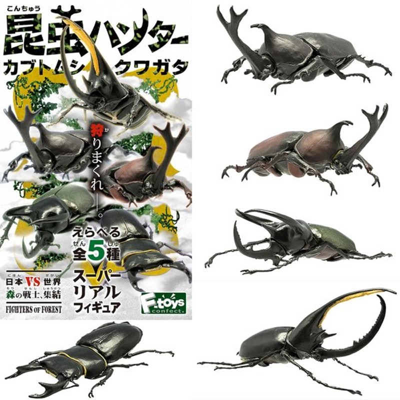 新品即納 Box Fig 食玩 昆虫ハンター カブトムシ クワガタ Ft 10個 エフトイズ 通販 Lineポイント最大0 5 Get Lineショッピング