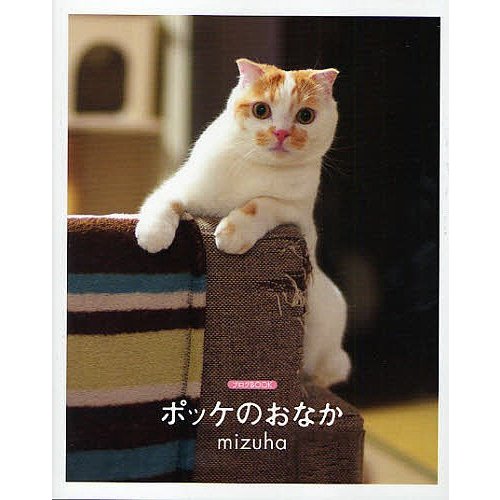 ポッケのおなか mizuha