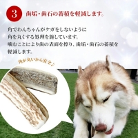 鹿の角 犬のおもちゃ ペット用 ペット おもちゃ 鹿 角