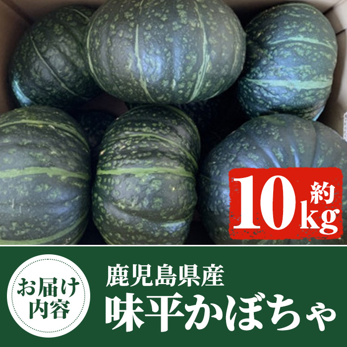 ＜先行予約受付中！2024年5月より順次発送＞鹿児島県産 味平かぼちゃ(約10kg) 国産 野菜 かぼちゃ カボチャ 南瓜 煮物 天ぷら バーベキュー BBQ スイーツ お菓子33-8