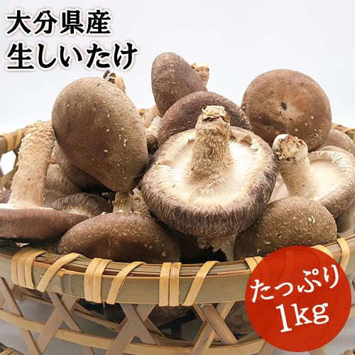 湯布院生まれの生しいたけ 1kg 無農薬栽培 100%国産 由布のしいたけ 送料込