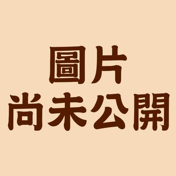 【115.6月預購】 MEA-107 Kpop 獵魔女團 SAJA BOYS 盲盒 6入 盒玩 愛蛋客