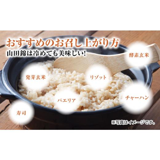 ふるさと納税 佐賀県 武雄市 栽培期間中農薬不使用 令和5年産 新米 山田錦 玄米 5kg 武雄市／鶴ノ原北川農園 [UDL005]