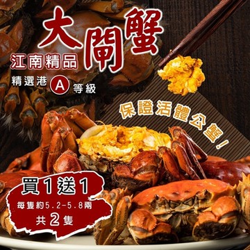 【海陸管家】港A級江南精品大閘蟹 共2隻(每隻約5.2-5.8兩)(買1送1)