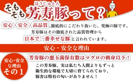 やっちゃおいしか芳寿豚バラエティセット 計3000g 南島原市   芳寿牧場[SEI021]