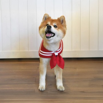 ZAZAZOO 萌少女戰士水手領巾 火星 水手結  1組  紅色  XS