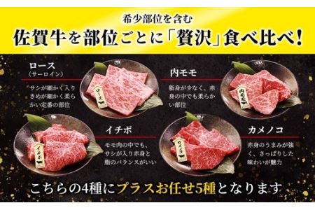 佐賀牛食べ比べ！！焼肉セット9種盛WS1004