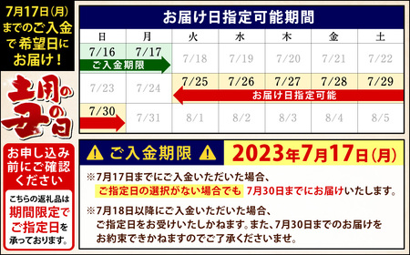 鰻天屋の九州産うなぎ 蒲焼 10尾 セット (1尾あたり160～189g)