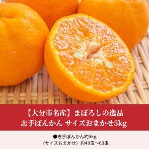 C09020まぼろしの逸品 志手ぽんかん サイズおまかせ5kg