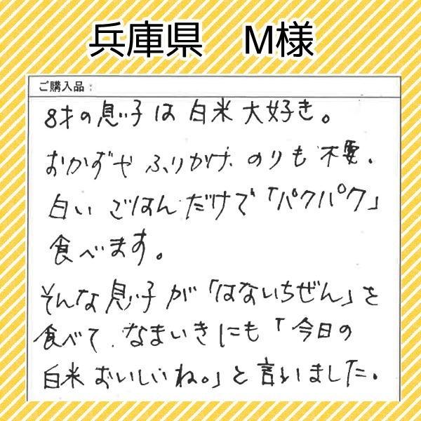 新米 米 ハナエチゼン 15kg  5kg×3袋 福井県産 白米 令和5年産 送料無料