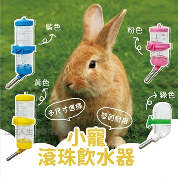 小寵飲水瓶 滾珠飲水器 倉鼠 天竺鼠 兔子 蜜袋鼯 鸚鵡 小蜜 小型寵物飲水瓶 垂吊式 掛籠式 小寵喝水器